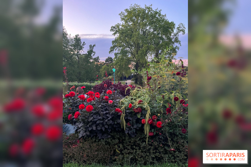Festival Silhouette au parc de la Butte du Chapeau Rouge - image00007
