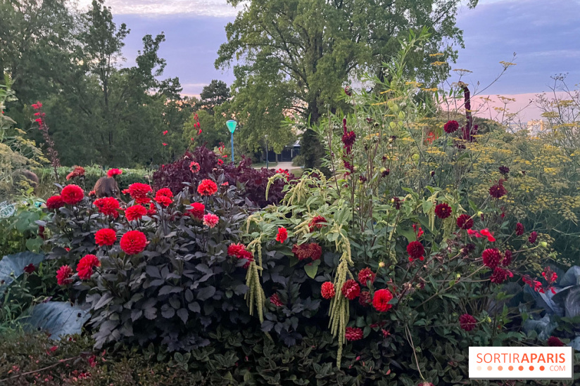 Festival Silhouette au parc de la Butte du Chapeau Rouge - image00008