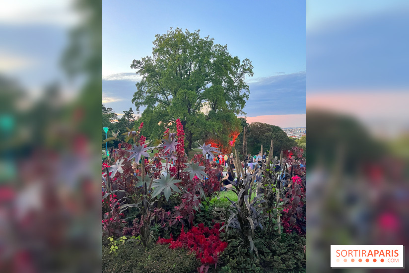 Festival Silhouette au parc de la Butte du Chapeau Rouge - image00006