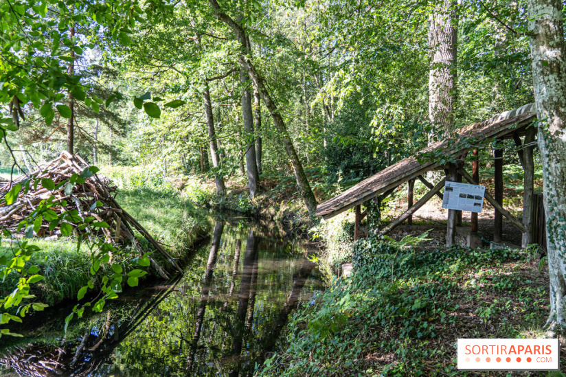 Folies lavoirs, les lavoirs des Yvelines et de la Vallée de Chevreuse accueillent l'art contemporain