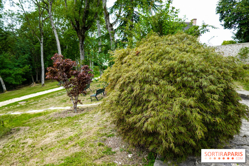 Maison-Atelier Foujita - DSC03042