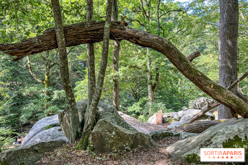 Les Vaux de Cernay en Vallée de Chevreuse - Cernay-la-Ville