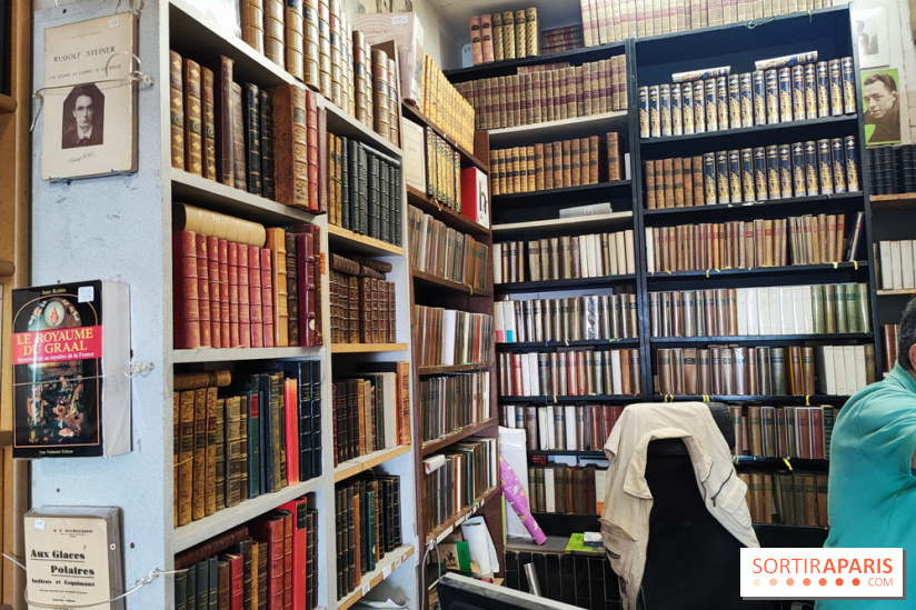 Librairie La Sirène - 155651