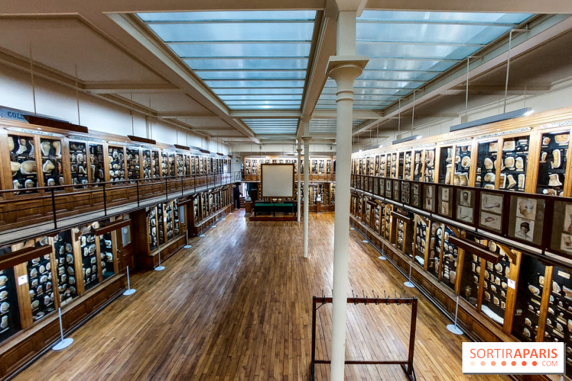 Musée des Moulages à Paris, nos photos - 20230905 120305