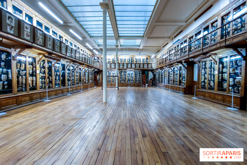 Musée des Moulages à Paris, nos photos - 20230905 121312