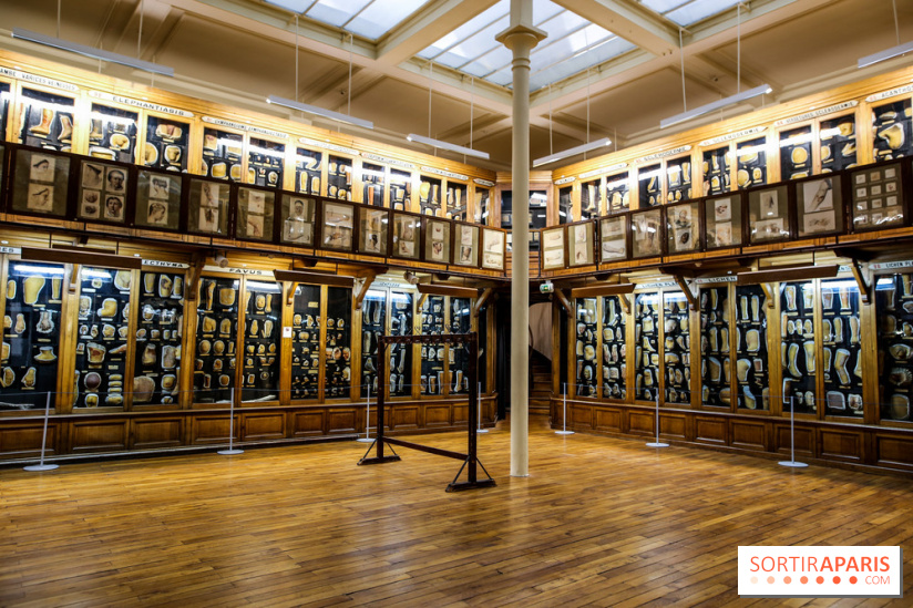 Musée des Moulages à Paris, nos photos - IMG 0812