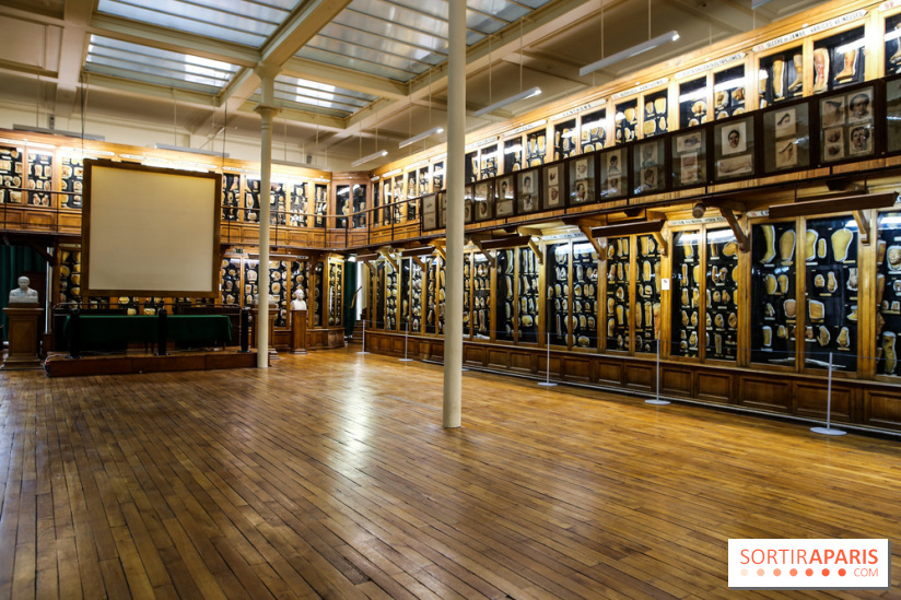 Musée des Moulages à Paris, nos photos - IMG 0814