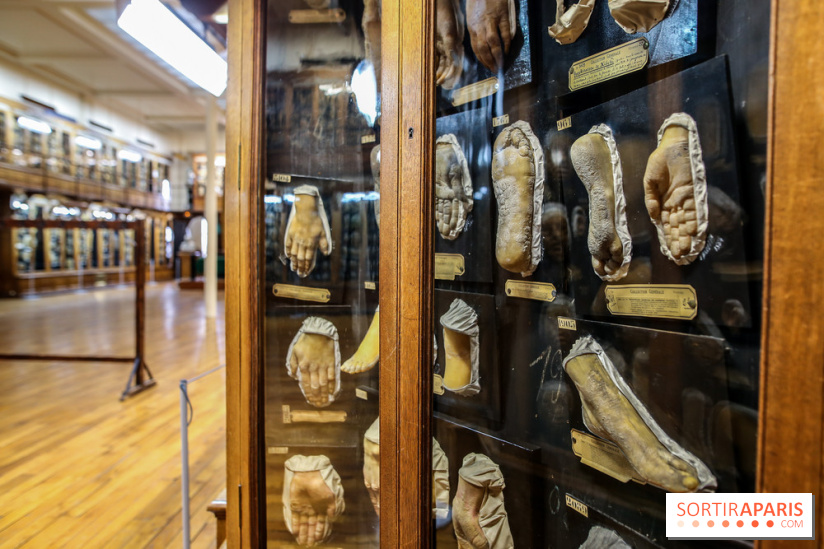 Musée des Moulages à Paris, nos photos