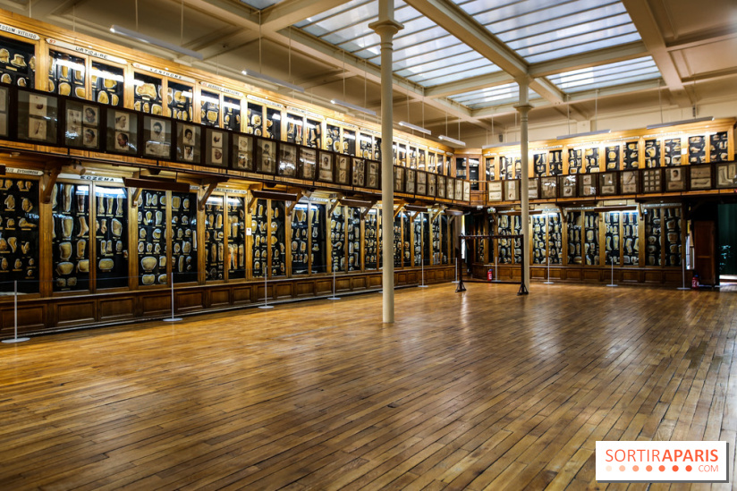 Musée des Moulages à Paris, nos photos
