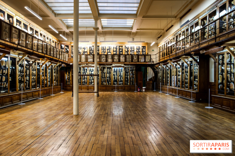 Musée des Moulages à Paris, nos photos - IMG 0843