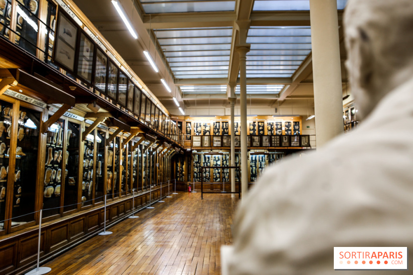 Musée des Moulages à Paris, nos photos - IMG 0845