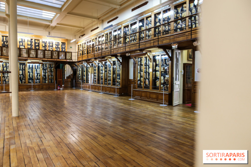 Musée des Moulages à Paris, nos photos