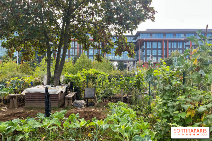 Le Grand parc des Docks de SaintOuen, oasis de verdure au coeur du nouveau quartier des Docks
