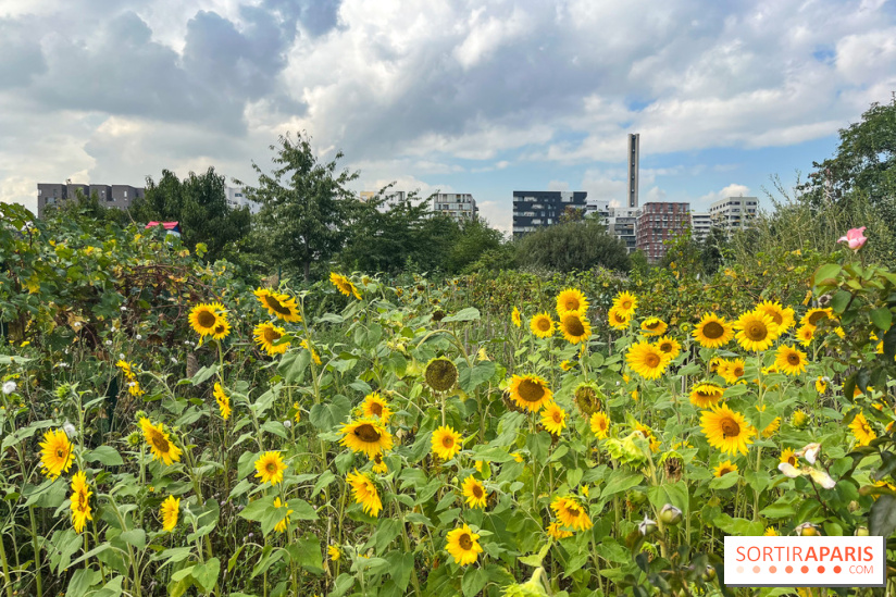 Le Grand Parc des Docks, à Saint-Ouen - image00219