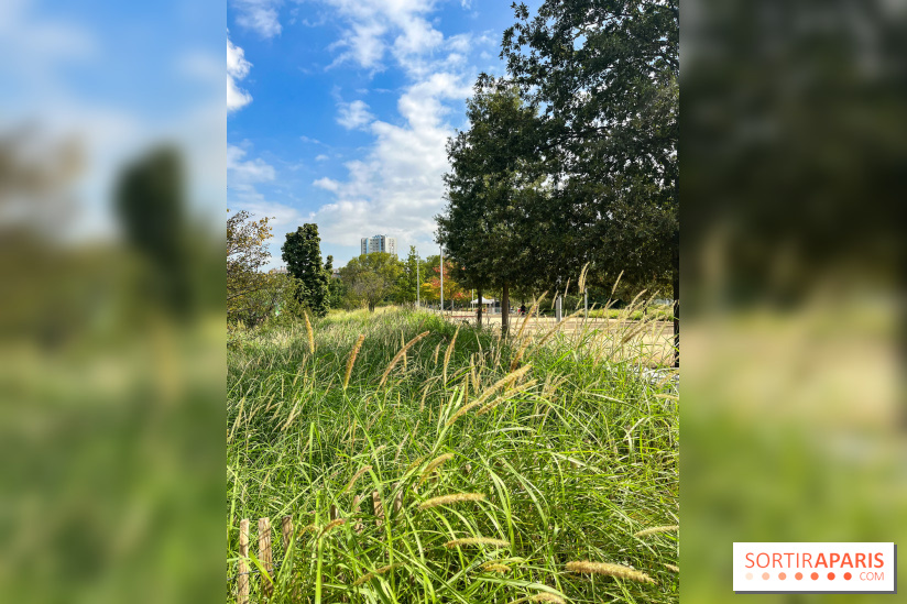 Le Grand Parc des Docks, à Saint-Ouen - image00200