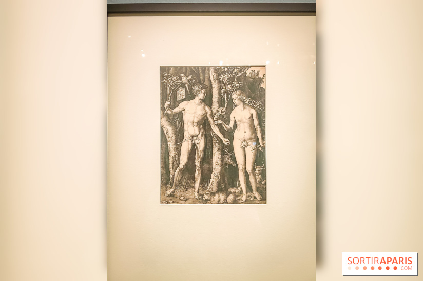 Trésors en noir et blanc, l'exposition des grands maîtres de l'estampe au Petit Palais - nos photos