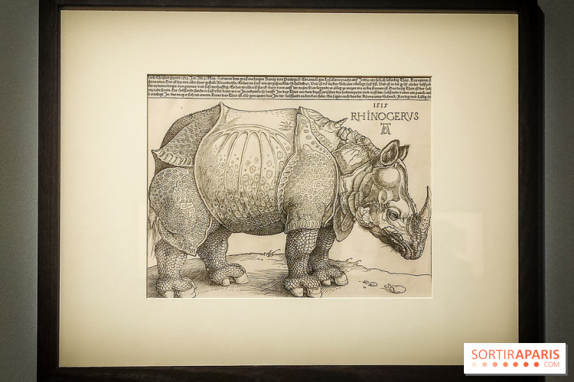 Trésors en noir et blanc, l'exposition des grands maîtres de l'estampe au Petit Palais - nos photos