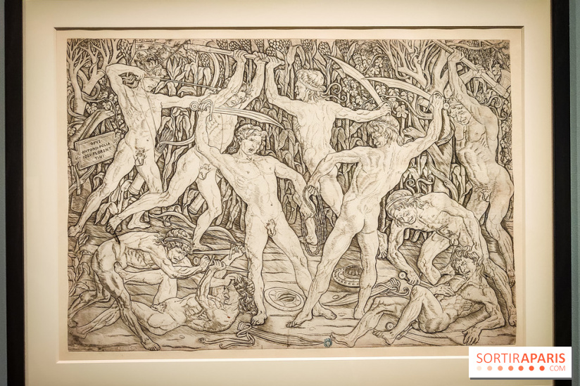 Trésors en noir et blanc, l'exposition des grands maîtres de l'estampe au Petit Palais - nos photos