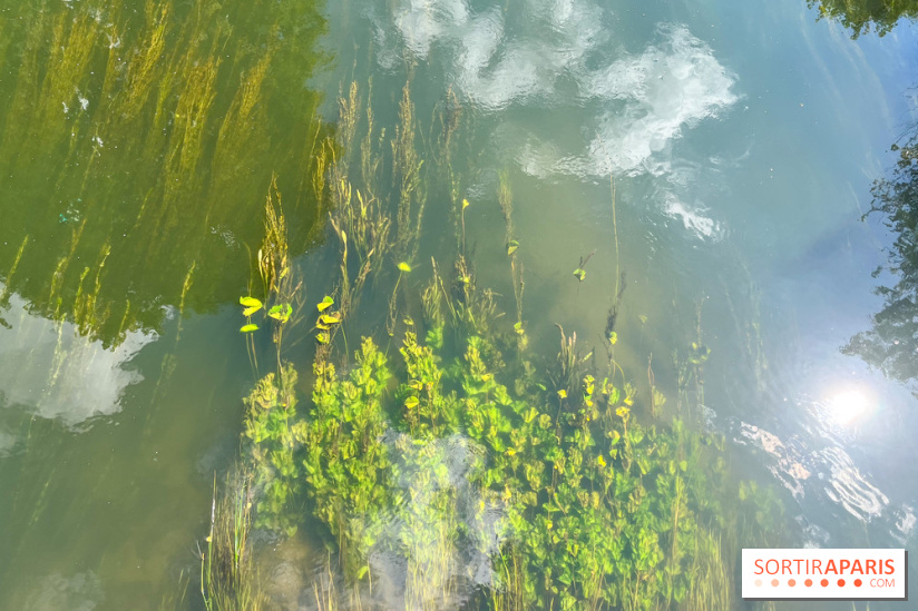 Motigny-sur-Loing - image00232