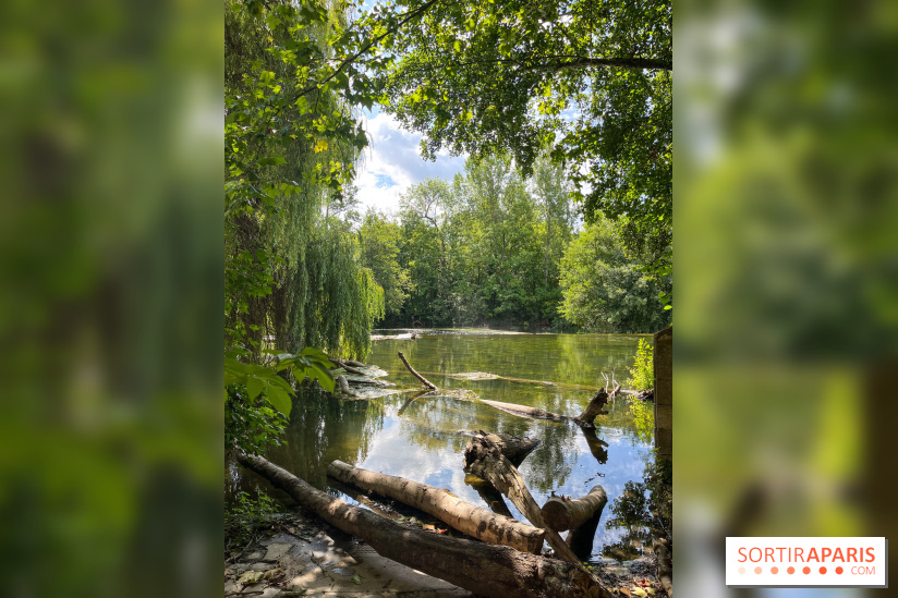 Motigny-sur-Loing - image00225