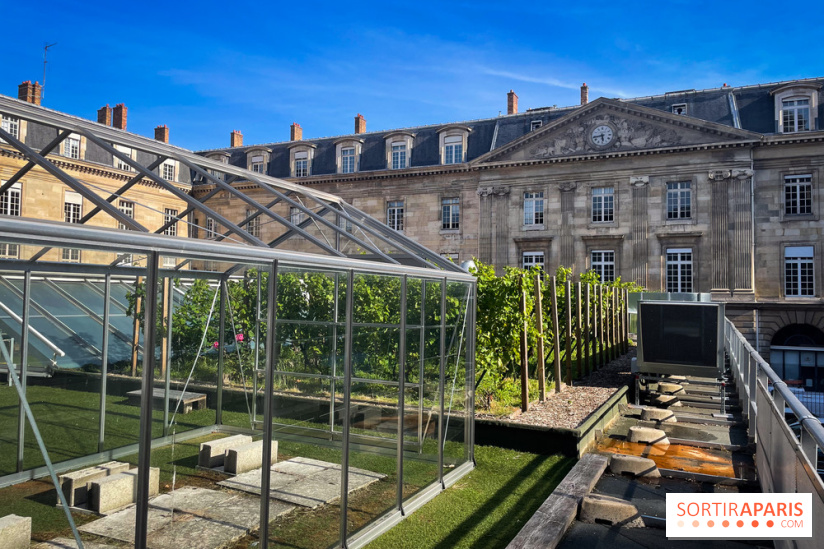 Vignoble Hôtel de Ville