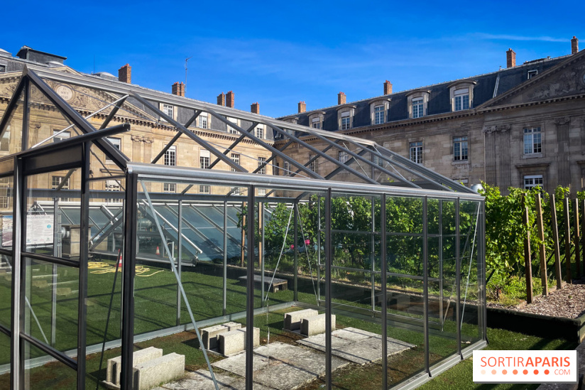 Vignoble Hôtel de Ville