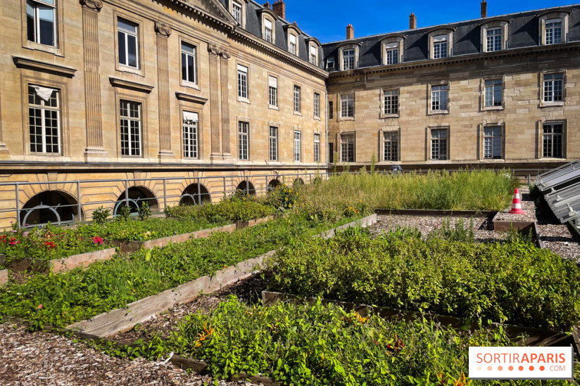 Vignoble Hôtel de Ville