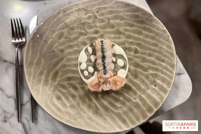 Tracé, Clément Vergeat - Queue de langoustine