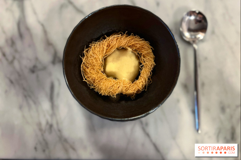 Tracé, Clément Vergeat - Nid d'oeufs de poissons