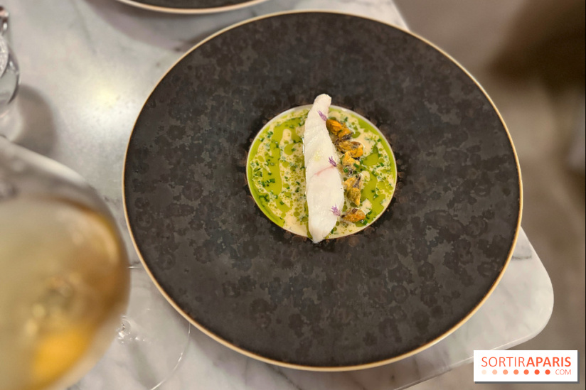 Tracé, Clément Vergeat - Turbot et moules