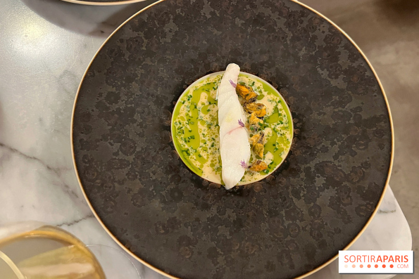 Tracé, Clément Vergeat - Turbot et moules