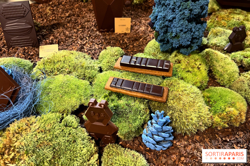 Alain Ducasse - Chocolats de Noël 2023 - 1C8D269F A4D5 4E19 A548 B3633784C155