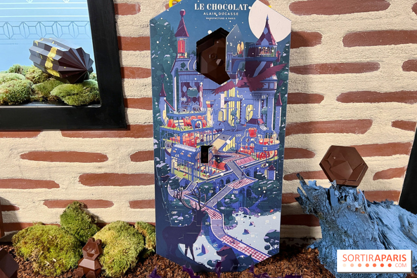 Alain Ducasse - Chocolats de Noël 2023 - 5CC5701B C340 4C92 9702 617198931855