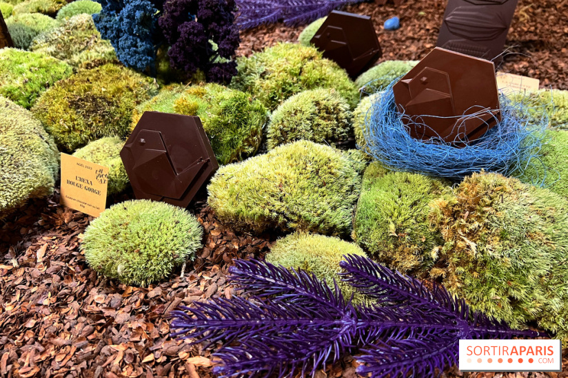 Alain Ducasse - Chocolats de Noël 2023 - 16C69F91 3DF8 4C50 91C9 D060A4D0ECC6