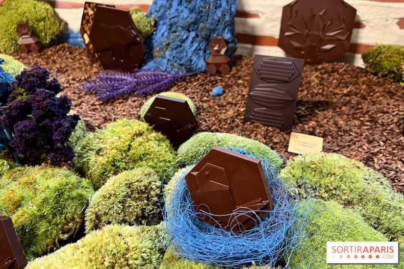 Alain Ducasse - Chocolats de Noël 2023 - 973A5822 D4BE 4CC9 84F6 572CA753A144