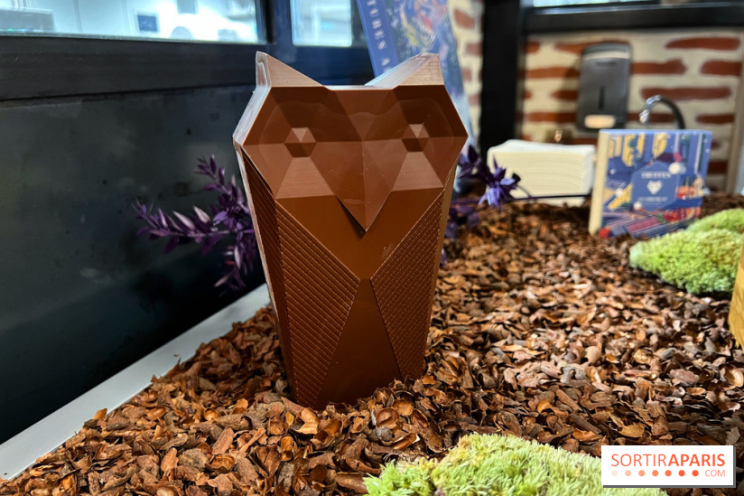 Alain Ducasse - Chocolats de Noël 2023 - B673CA26 D8C2 45DE 844B 277D232E7E7B