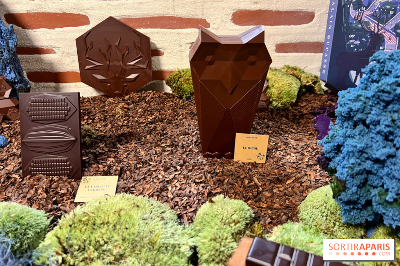 Alain Ducasse - Chocolats de Noël 2023 - E6E01285 D2C7 4778 A7FE B172F039506F