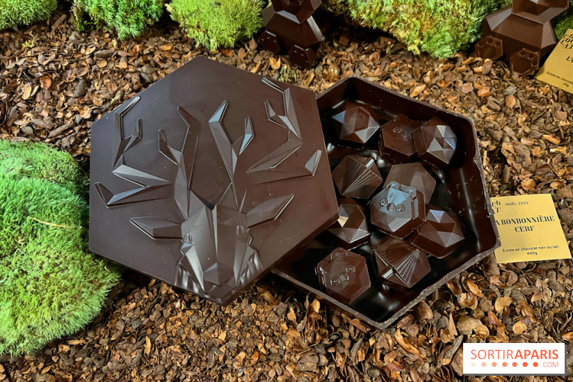 Alain Ducasse - Chocolats de Noël 2023 - FF7AC281 5BCF 4FB7 B9D6 B91F033AC06D