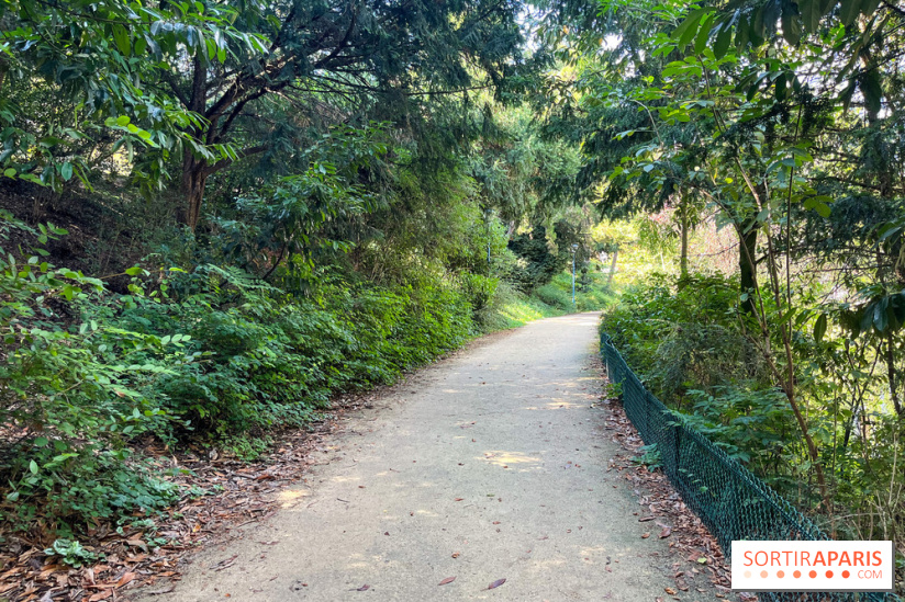 Parc de la butte du chapeau rouge  - image00816