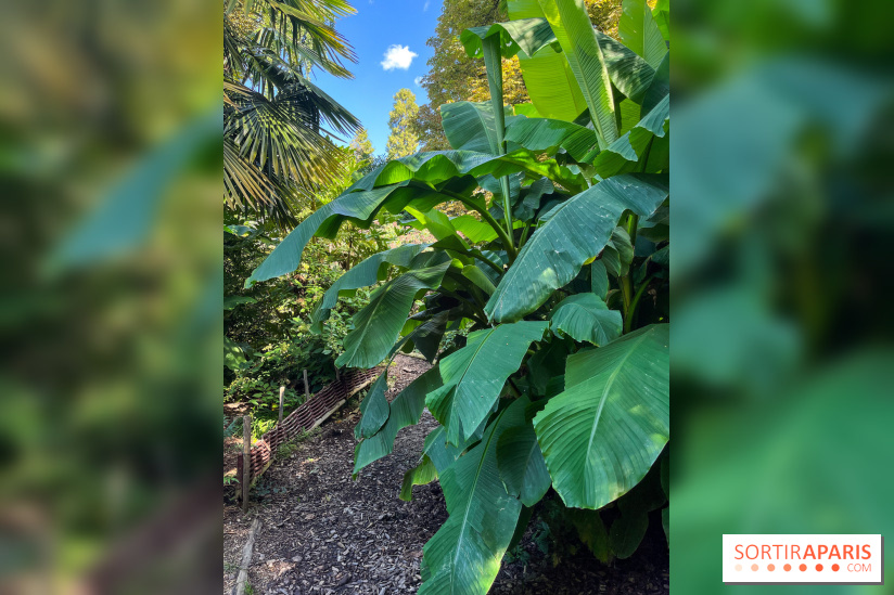 Parc de la butte du chapeau rouge - image00790