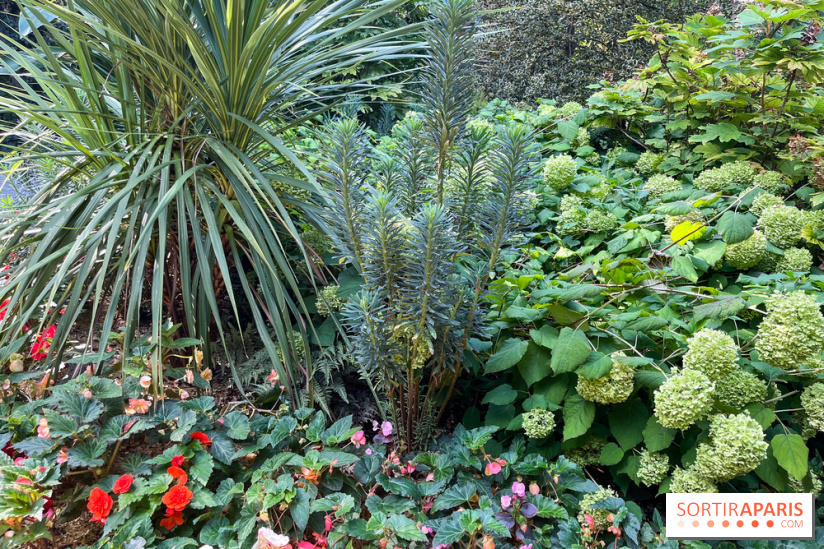 Parc de la butte du chapeau rouge - image00778