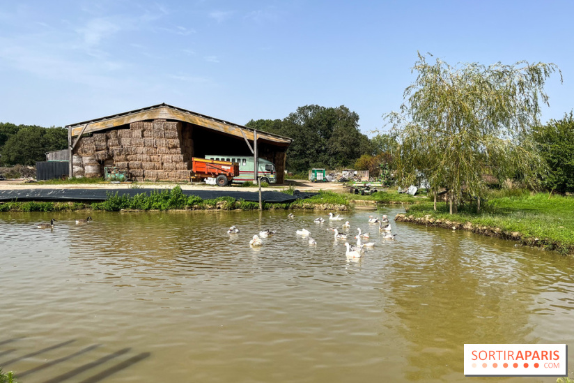 La Ferme des 4 Etoiles à Auffargis