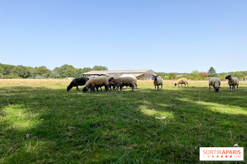 La Ferme des 4 Etoiles à Auffargis - image00046
