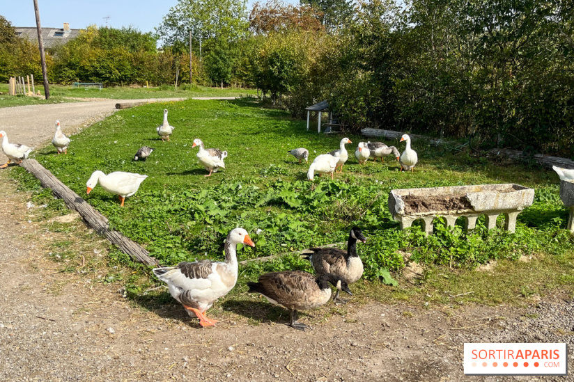 La Ferme des 4 Etoiles à Auffargis