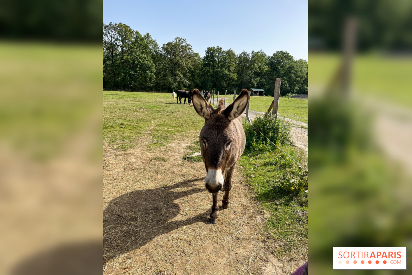 La Ferme des 4 Etoiles à Auffargis - image00035