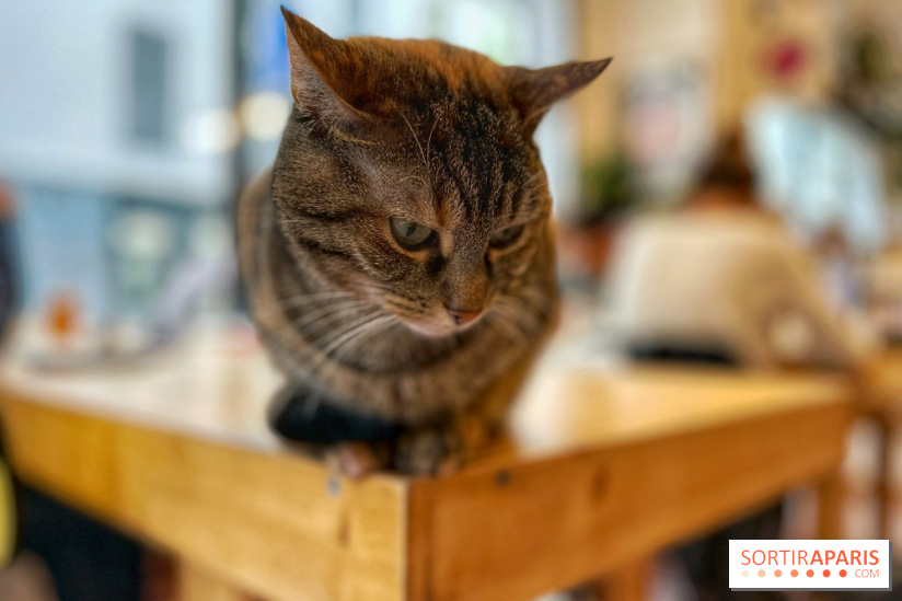 La Régulière - IMG 5295