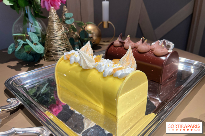 Hugo & Victor - Bûche de Noël 2023 citron-verveine