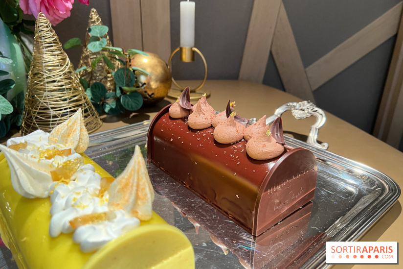 Hugo & Victor - Bûche de Noël 2023 chocolat