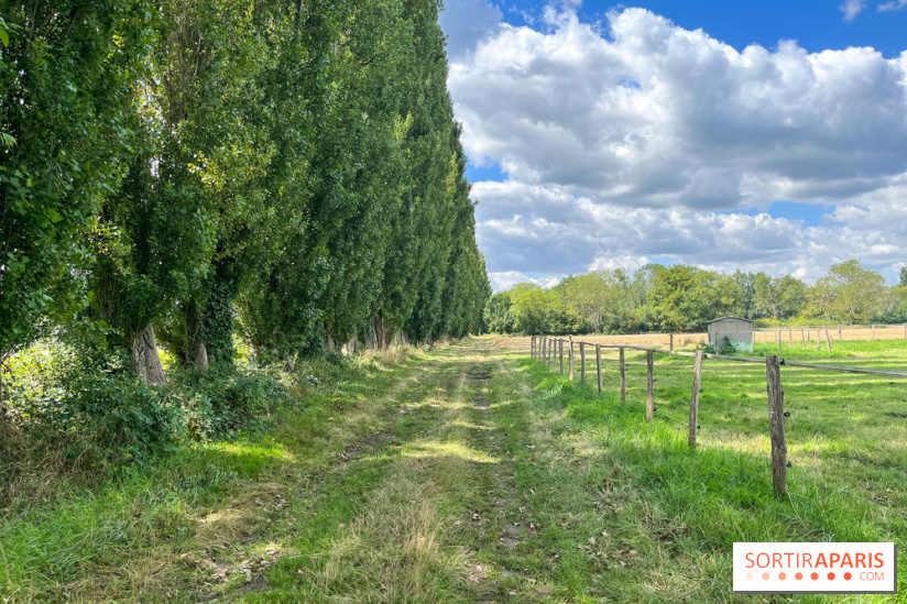 Un week-end le long du Loing, de Montigny-sur-Loing à Thomery