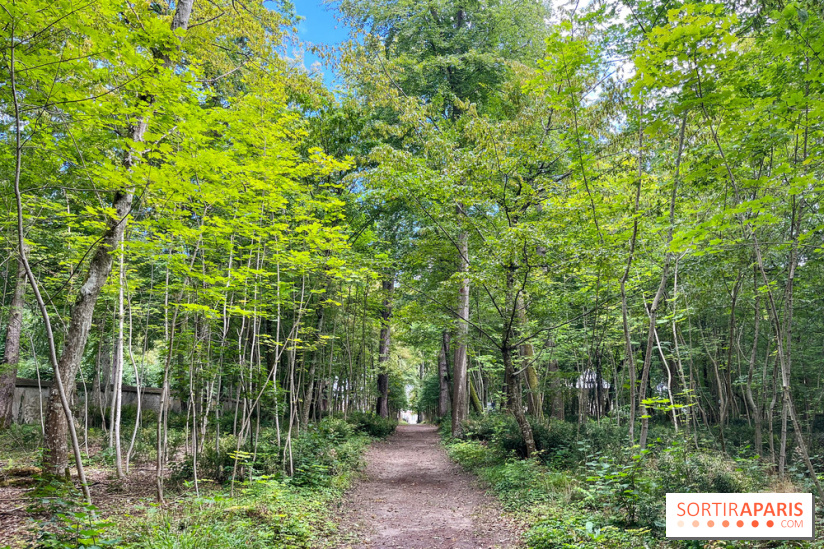 Un week-end le long du Loing, de Montigny-sur-Loing à Thomery